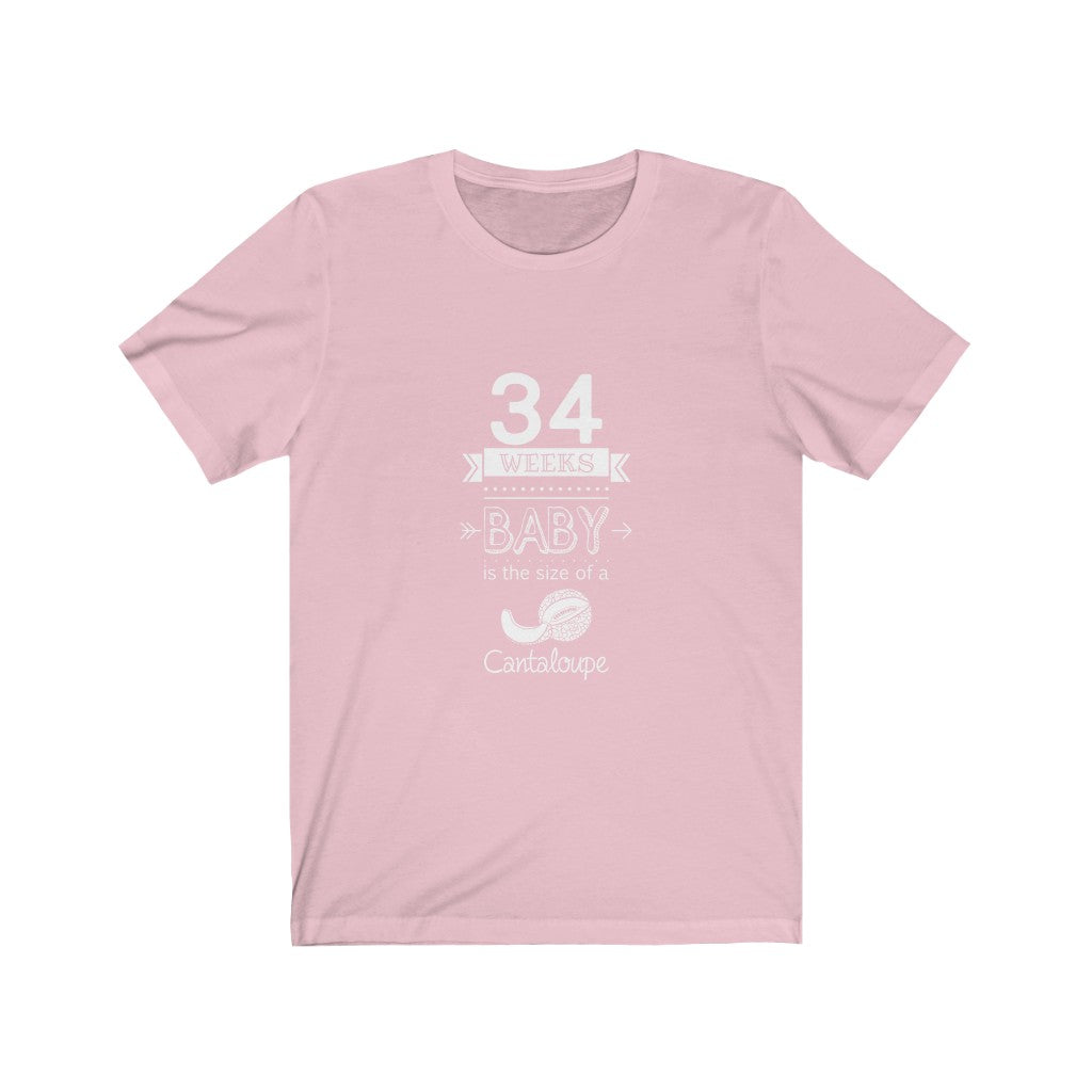 Pregnancy Tshirt Tee Expecting Parenting Birth Baby Baby is the size of Baby Shower Pregnant